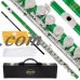 Lazarro 120-GR Professional Green-Silver Closed Hole C Flute with Case, Care Kit-Great for Band, Orchestra,Schools   